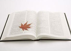 足球盛事，洲际对决，热血点燃！