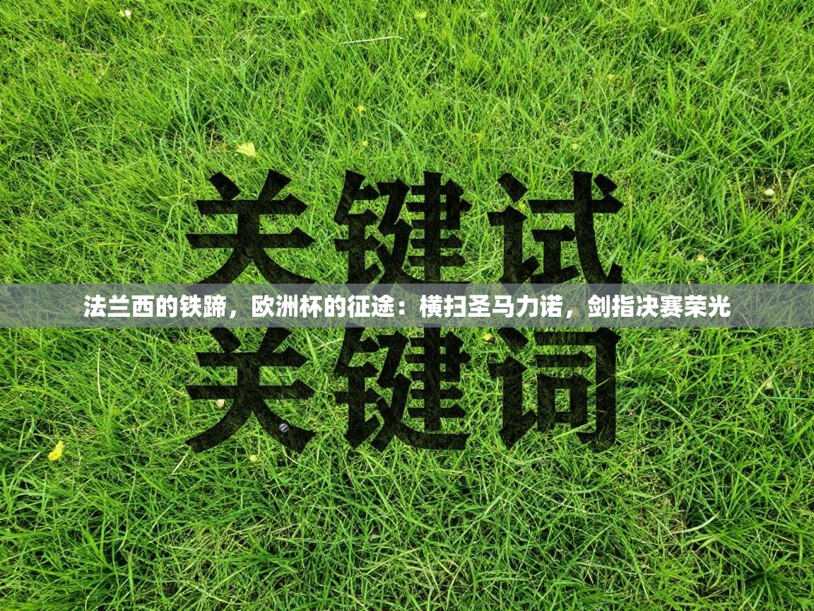 法兰西的铁蹄，欧洲杯的征途：横扫圣马力诺，剑指决赛荣光  第2张