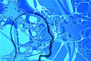 爱游戏官网-中国足球未来发展规划不明朗,中国足球发展方向 第3张